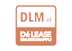 DLM